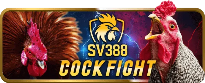 Phân tích ưu đãi mới nhất 33win02