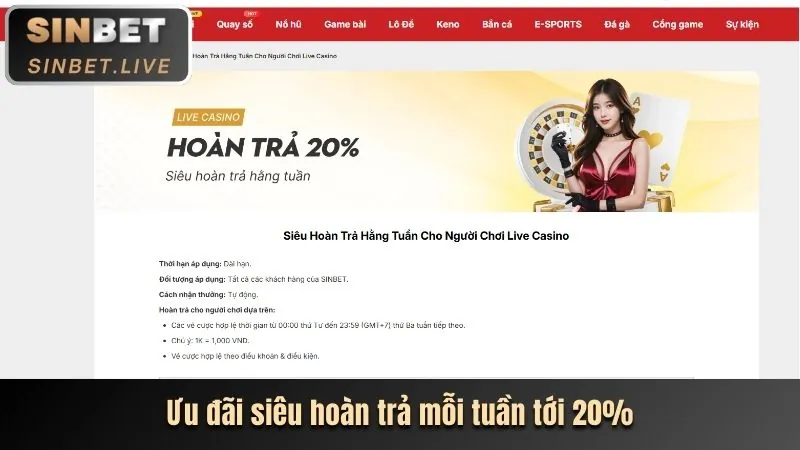 Tổng quan về các loại khuyến mãi